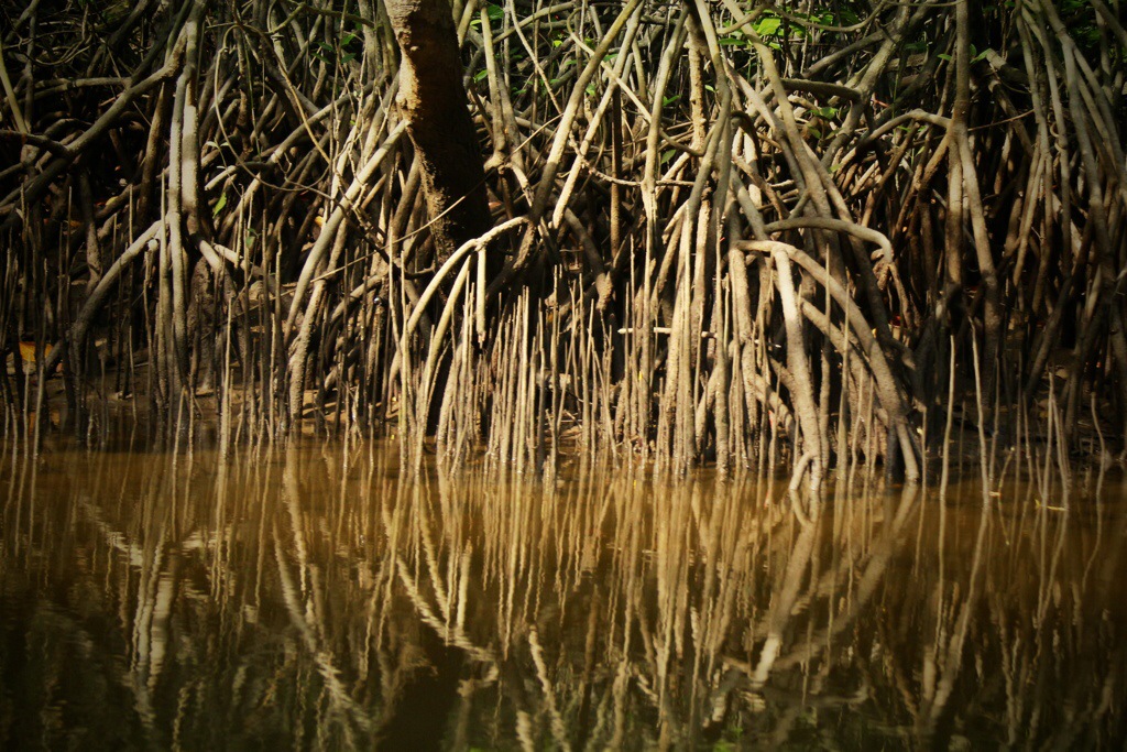 Maleisië – Cherating